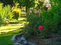 Quinta do Nascimento 
