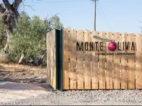 Monte Oliva - Turismo Rural 