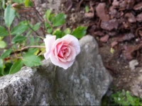Bright Country House Penafiel 