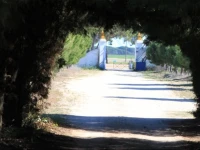 Quinta da Azervada de Cima 