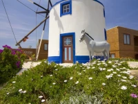Coxos Beach Lodge 