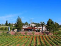 Quinta dos Vales Wine Estate 