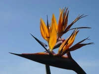 Quinta Sao Goncalo 