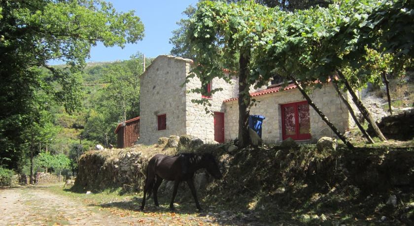 Picoto House 