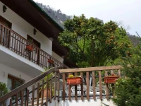 Hotel Carvalho Araujo 
