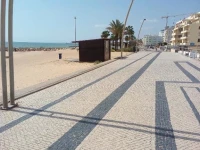 Cartaia Apartamento Leste 