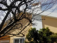 Casa DavГі Na Linha 