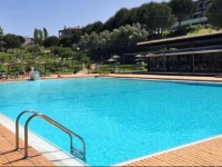 Apartment Belleview 