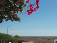 Appartement Perto Da Praia 