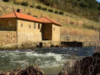 Quinta de ReciГЈo 