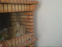 Escola Apartment 