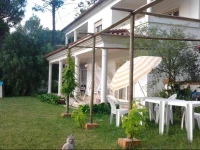 Quinta do Pinhoeiro 
