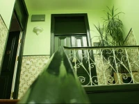 Be My Guest Lisboa 