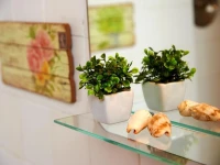 Central Garden Saldanha Apartment 