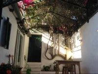 Delightful Patio Flat 