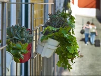 DuqueВґs Apartments 