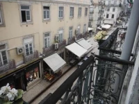 Lafonense 