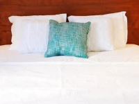 Magnolia Guesthouse 