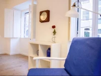 New Modern and Fresh Apartment 