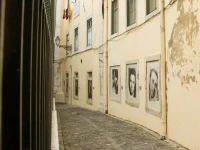 On the Path of Fado 