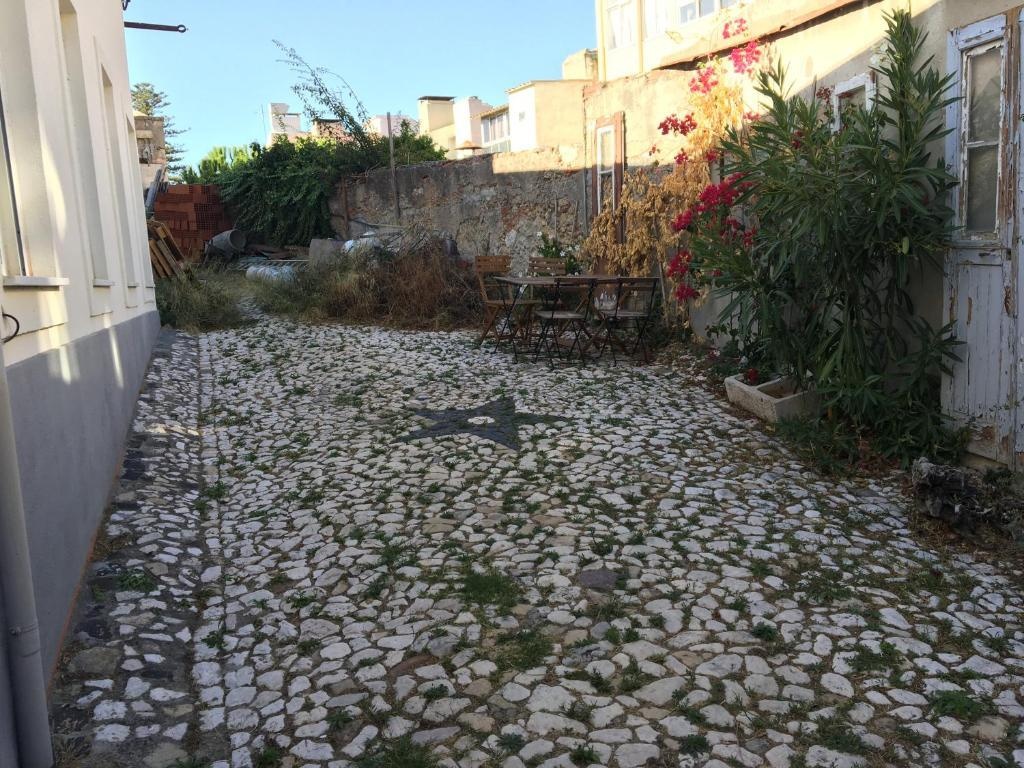The Back Yard Nest 