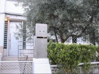 The Olive Tree House 