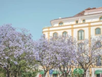 Loule Jardim Hotel 