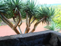 Casa das Bandeiras