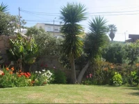 Orchidea Terrace 