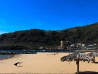 Casas da Avenida e Do Pico 