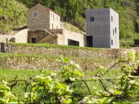 MelgaГ§o Alvarinho Houses 