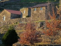 Cardenha do Douro 