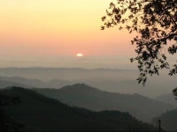 Terra do Milho 