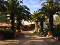 Casa do Palmeiral 