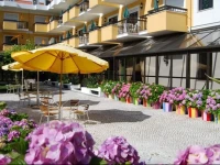 D. Afonso Hotel & SPA 