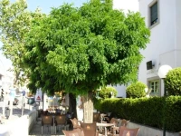 Hotel Montemor 3*