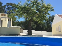 Casa Ameixa 