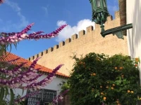 Casa Picva 