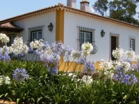 Quinta Da Torre 