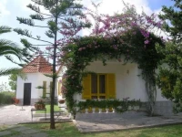 Casa Das Laranjeiras 
