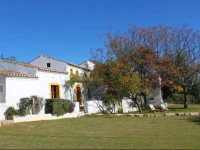 Monte da Alecrineira 