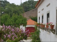 Quinta da Casa Velha Agroturismo 