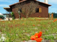 Wood house with swiming pool near Lisbon best beaches 