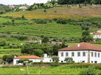 Casa do Salgueiral 