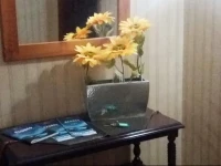Apartment Girassol 
