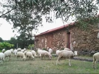 Casa Dos Tres Irmaos 