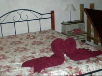Casa da Ti Galinha 