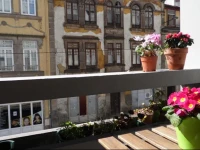 Ana DOuro Apartment 