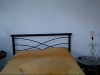 Carvalhosa Studio 