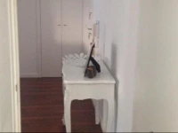 Casa da Musica Flat 